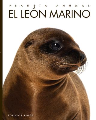 Cover Art for El león marino