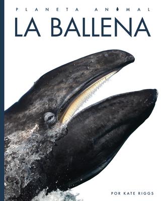 Cover Art for La ballena