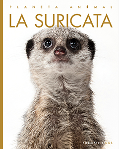 Cover Art for La suricata