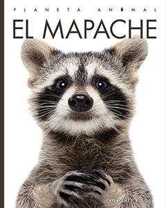 Cover Art for El mapache