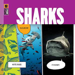 Cover Art for Sharks