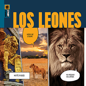 Cover Art for Los leones