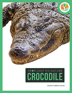 Cover Art for Crocodile