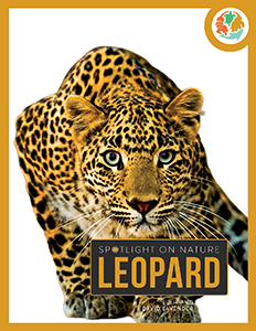 Cover Art for Leopard