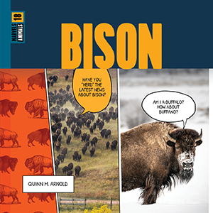 Cover Art for Bison