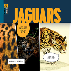 Cover Art for Jaguars