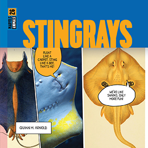 Cover Art for Stingrays