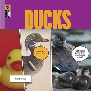 Cover Art for Ducks