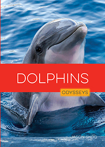 Cover Art for Dolphins