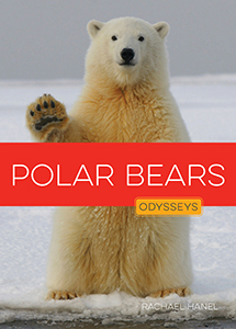 Cover Art for Polar Bears