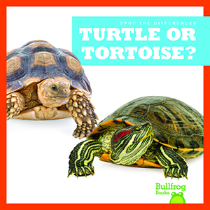 Cover Art for Turtle or Tortoise?