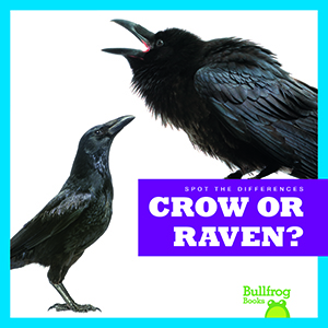 Cover Art for Crow or Raven?
