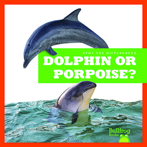Cover Art for Dolphin or Porpoise?