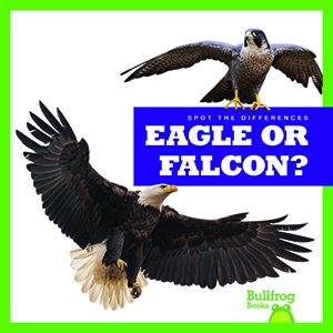 Cover Art for Eagle or Falcon?