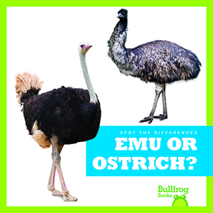 Cover Art for Emu or Ostrich?