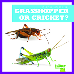 Cover Art for Grasshopper or Cricket?