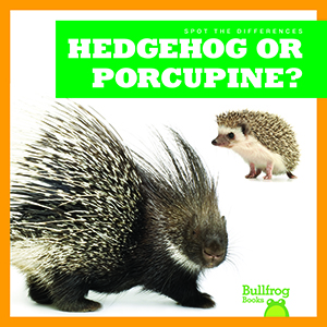 Cover Art for Hedgehog or Porcupine?