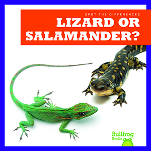 Cover Art for Lizard or Salamander?
