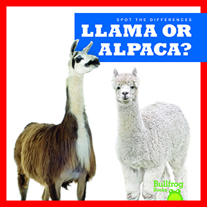 Cover Art for Llama or Alpaca?