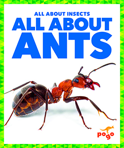 Cover Art for All About Ants