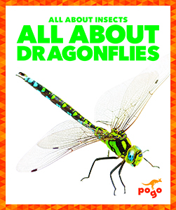 Cover Art for All About Dragonflies