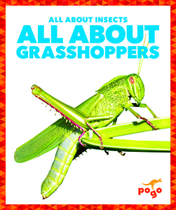 Cover Art for All About Grasshoppers