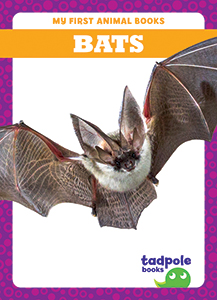 Cover Art for Bats