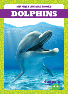 Cover Art for Dolphins