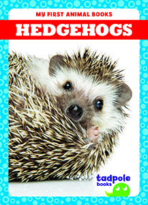 Cover Art for Hedgehogs