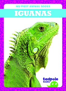 Cover Art for Iguanas