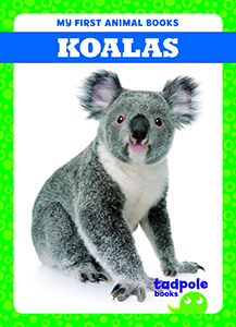 Cover Art for Koalas