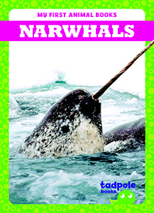 Cover Art for Narwhals