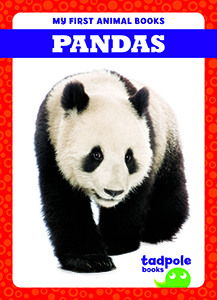Cover Art for Pandas