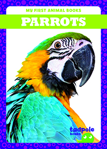 Cover Art for Parrots