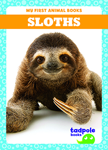 Cover Art for Sloths