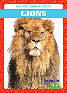 Cover Art for Lions