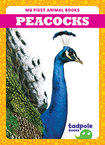 Cover Art for Peacocks
