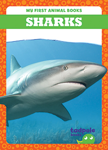 Cover Art for Sharks