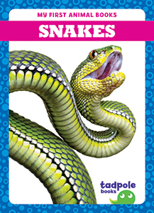 Cover Art for Snakes