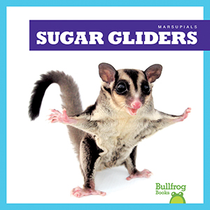 Cover Art for Sugar Gliders