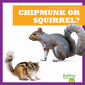 Cover Art for Chipmunk or Squirrel?