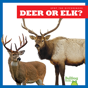 Cover Art for Deer or Elk?