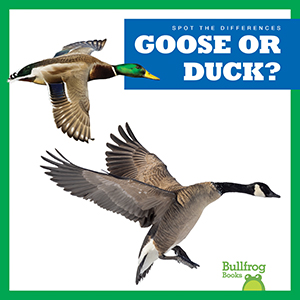 Cover Art for Goose or Duck?