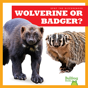 Cover Art for Wolverine or Badger?