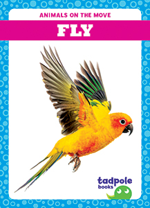 Cover Art for Fly
