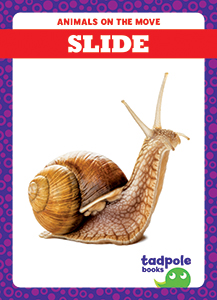 Cover Art for Slide