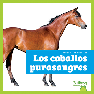 Cover Art for Los caballos purasangres (Thoroughbred Horses)