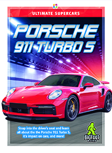 Cover Art for Porsche 911 Turbo S