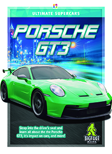 Cover Art for Porsche GT3