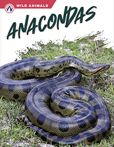 Cover Art for Anacondas